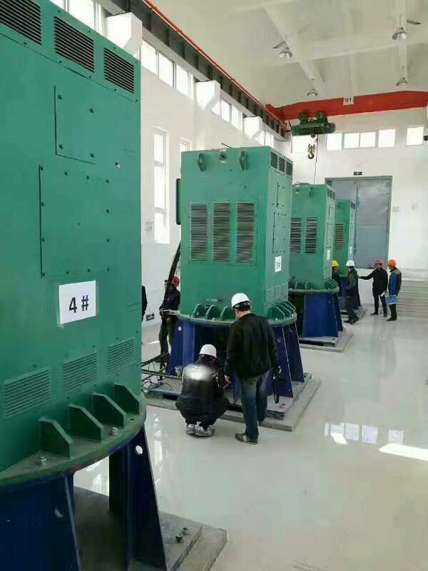 YR5003-4某污水处理厂使用我厂的立式高压电机安装现场
