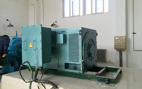 YR5003-4某水电站工程主水泵使用我公司高压电机