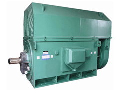 YR5003-4Y系列6KV高压电机