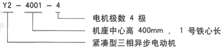 YR系列(H355-1000)高压YR5003-4三相异步电机西安西玛电机型号说明